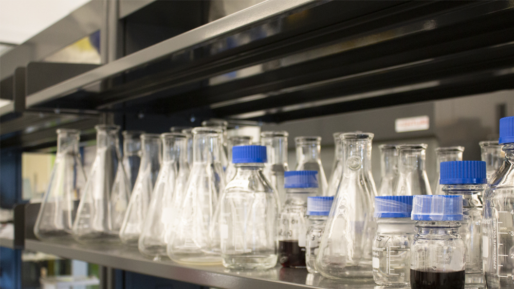 Photo of glass tubes in a lab
